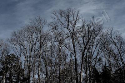 Exploring - Cloudy Skies - Canon Rebel Xti