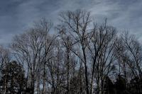 Cloudy Skies - Canon Rebel Xti Photography - By Solstice Soleil, Nature Photography Artist