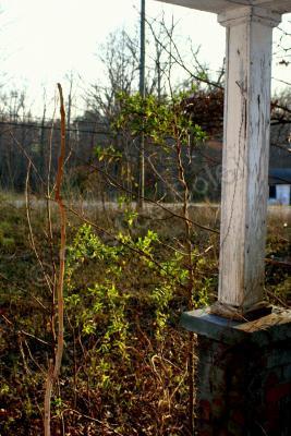 Exploring - Enduring - Canon Rebel Xti