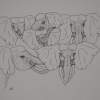 Elephant Faces - Pen And Ink Drawings - By Bampy Dragon, Self Style Technique Drawing Artist