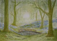 Bluebell Wood - Water Colour Paintings - By Bampy Dragon, Realism Painting Artist
