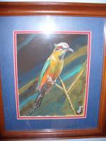 C Bird - Acrylic Paintings - By Raza Mirza, Freestyle Painting Artist