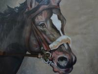 Oil - Horse - Oil Painting