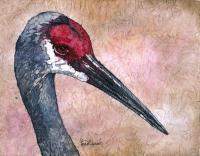 Sandhill Crane - Water Color And Wax Paintings - By Bonnie Olendorf, Batik On Rice Paper Painting Artist