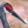 Sandhill Crane - Water Color And Wax Paintings - By Bonnie Olendorf, Batik On Rice Paper Painting Artist