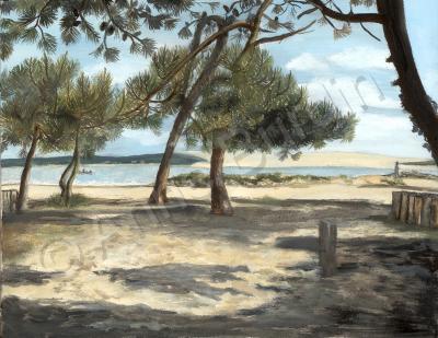 Bassin Darcachon - Cap Ferret - Oil On Canvas