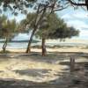 Cap Ferret - Oil On Canvas Paintings - By Anne Burdin, Landscape Painting Artist