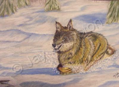 Wildlife - Wolf On The Chase - Pastel