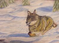 Wolf On The Chase - Pastel Paintings - By Jay Johnston, Realism Painting Artist