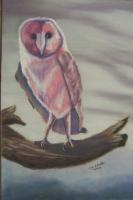 Colorful Owl - Pastel Paintings - By Jay Johnston, Realism Painting Artist