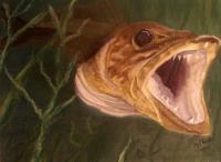Walleye Attack - Pastel Paintings - By Jay Johnston, Realism Painting Artist