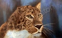 Wildlife - Leopard - Pastel