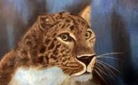 Leopard - Pastel Paintings - By Jay Johnston, Realism Painting Artist