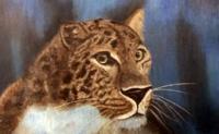 Leopard - Pastel Paintings - By Jay Johnston, Realism Painting Artist