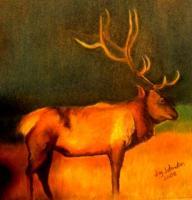 Evening Elk - Pastel Paintings - By Jay Johnston, Realism Painting Artist