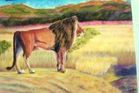 Lion Observing - Pastel Paintings - By Jay Johnston, Realism Painting Artist