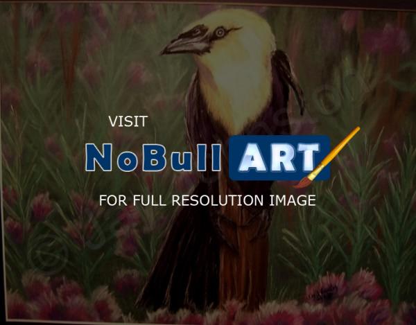 Wildlife - Bird And Flowers - Pastel