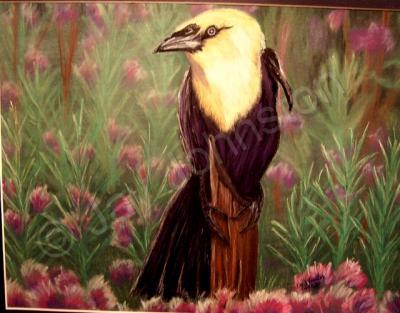 Wildlife - Bird And Flowers - Pastel