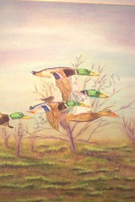 Wildlife - Ducks In Flight - Pastel