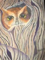 Wildlife - Baby Owl In A Tree - Pastel