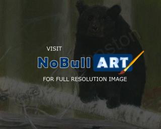 Wildlife - Bear On Birch - Pastel
