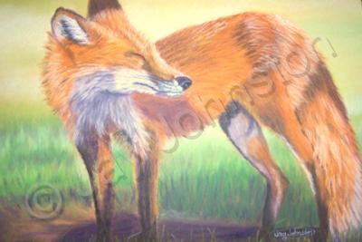 Wildlife - Blinking Fox - Pastel