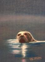 Lonely Seal - Pastel Paintings - By Jay Johnston, Realism Painting Artist