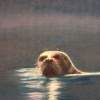 Lonely Seal - Pastel Paintings - By Jay Johnston, Realism Painting Artist