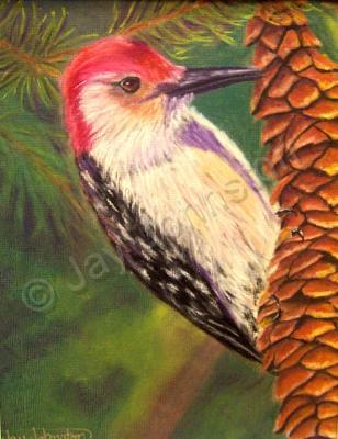 Wildlife - Woodpecker On Pine Cone - Pastel