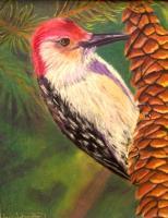 Woodpecker On Pine Cone - Pastel Paintings - By Jay Johnston, Realism Painting Artist