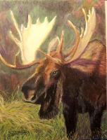 Wildlife - Standing Moose - Pastel