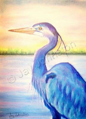 Birds - Blue Herron - Pastel