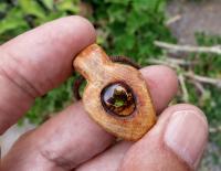 Palo Santo Amulet With Fire Agate Shaman Charm Necklaces - Wood Jewelry - By Alberto Thirion, Natural Jewelry Jewelry Artist