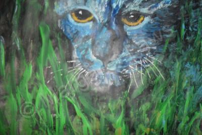 Add New Collection - A Glimpse Of The Wild Cat - Acrylics