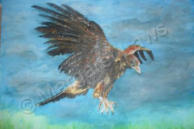 Add New Collection - The Golden Eagle - Acrylics