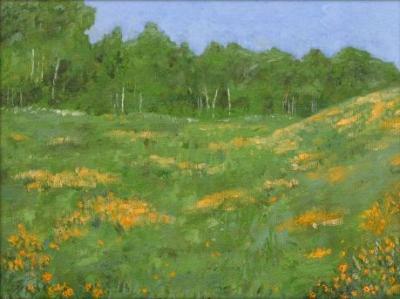 Landscapes - Crested Butte Meadow - Oil On Canvas