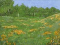 Crested Butte Meadow - Oil On Canvas Paintings - By Tom Schek, Impressionist Painting Artist