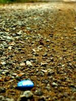 Blue Stone Gravel Road - Digital Photography - By Matthew Loehr, Nature Photography Artist