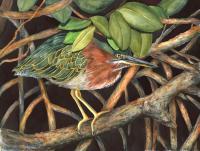 Birds - Hide And Seek - Watercolor