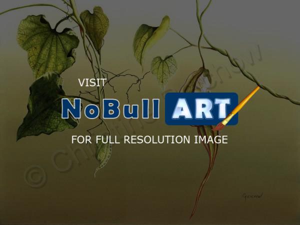 Nature - Pelican Flower - Watercolor
