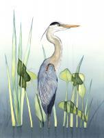 Birds - Stately Blue - Watercolor