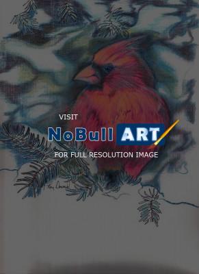 Birds - Cardinal Study 2 - Color Pencil