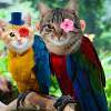 Photoshop 1 - Parrot Cat - Photoshop Mixed Media - By Camille Imperial, Abstract Mixed Media Artist