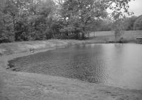 Black And White - Silent Lake - Digital Camera