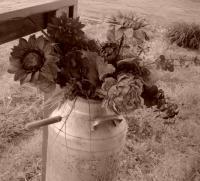 Antique - Old Timin Flowers - Digital Camera