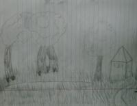 Drawings - In The Woods - Pencil And Paper