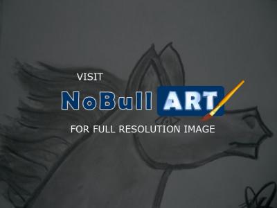 Drawings - Charcoal Horse - Charcoal