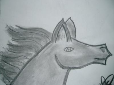 Drawings - Charcoal Horse - Charcoal