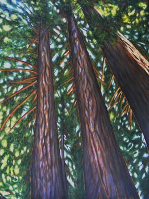 Northwest - Garden Giants - Oil