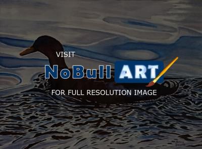 Animals - Morning Swim At Wapato Lake - Watercolor